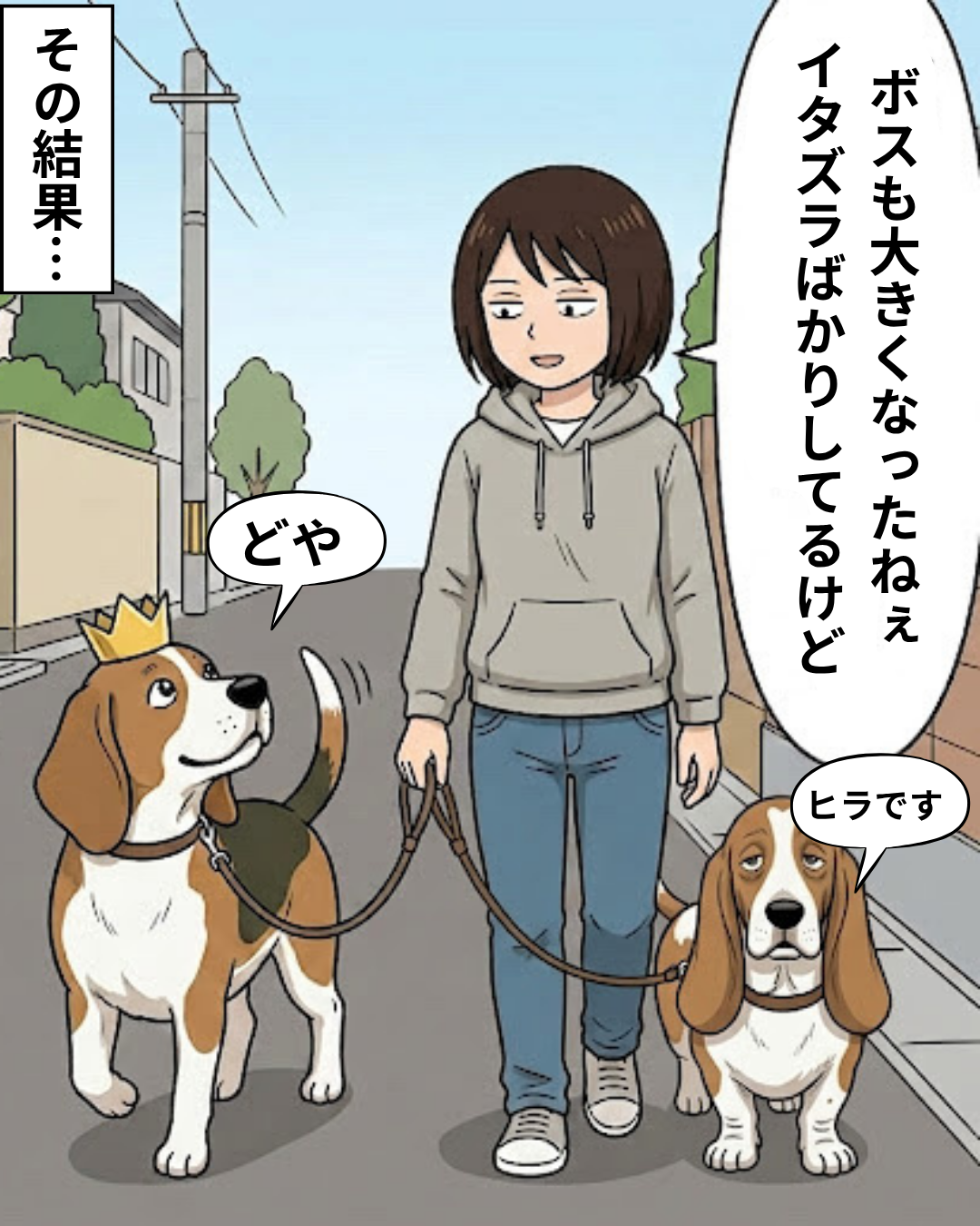 飼い主と散歩中、褒められて得意げな表情で歩くボスと、眠そうな表情のバセットハウンドのヒラ