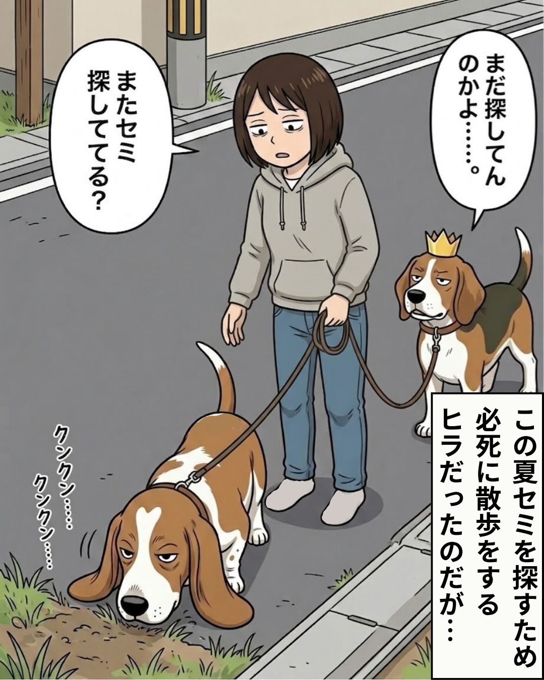 散歩中に地面を熱心に嗅いでセミを探すヒラと、それを見守る飼い主とボスのイラスト
