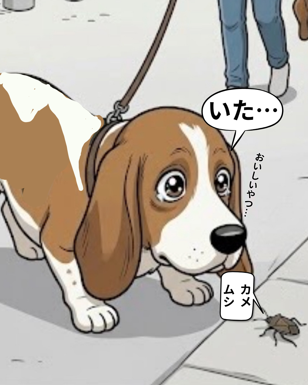 カメムシを「おいしいやつ」だと思い込み、期待に満ちた目で見つめるヒラのアップ