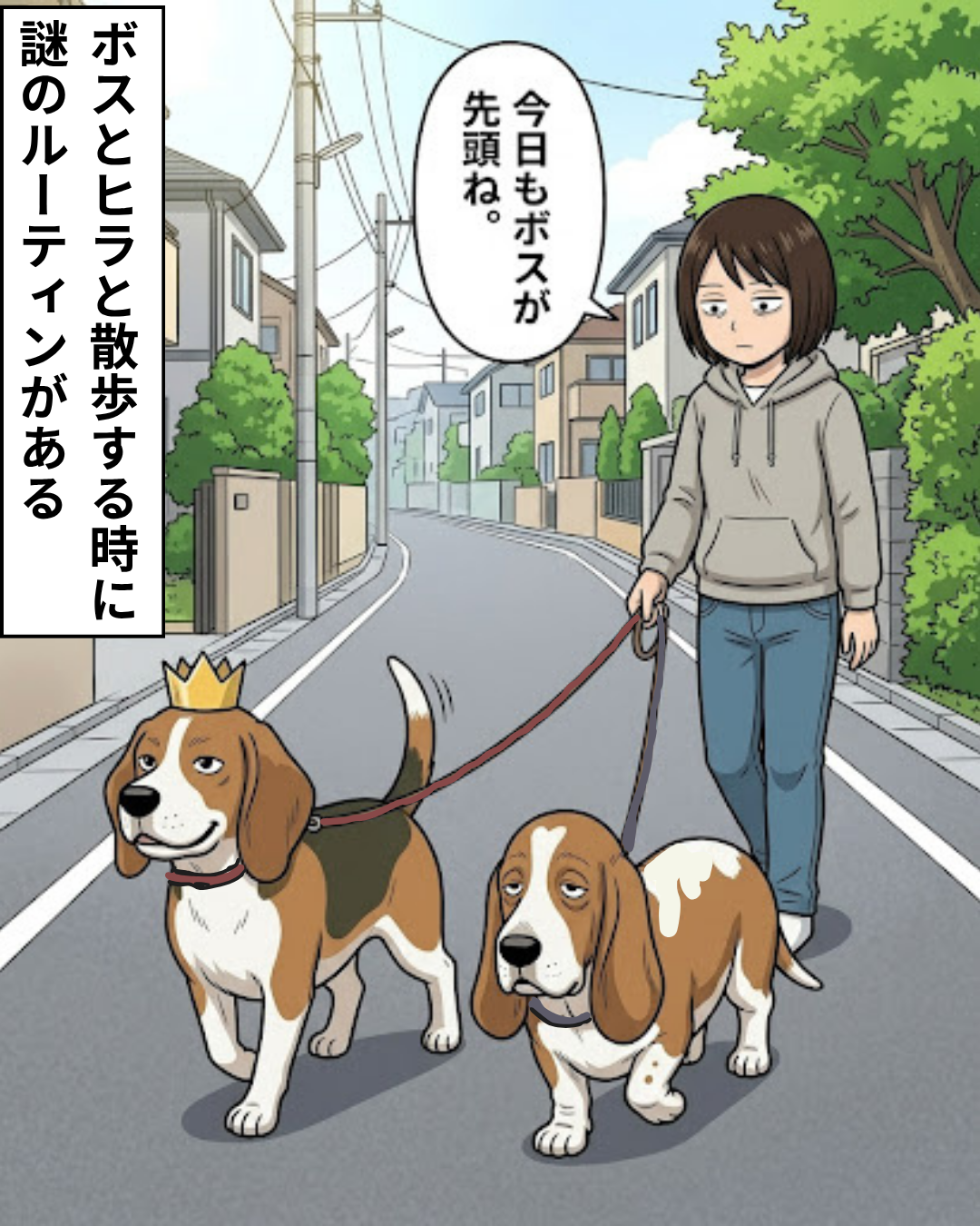 飼い主に連れられて住宅街を散歩する、先頭のボスと後ろを歩くヒラ
